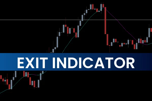 Exit Indicator