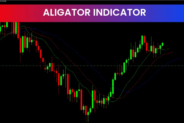 Alligator
