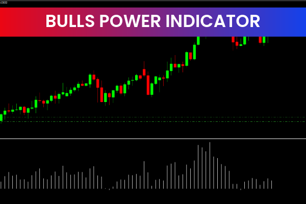 Bulls Power