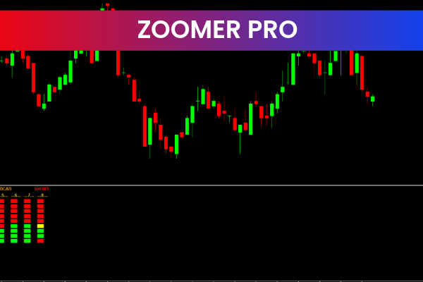 Zoomer Pro